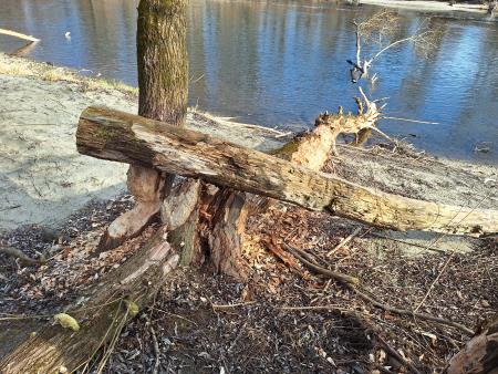 20250215_102704 – kopija